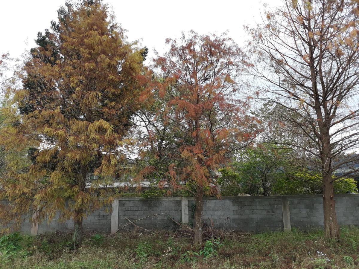 63Inn庭園民宿 Pinghe Exterior foto